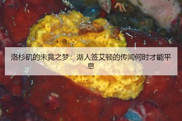 luo-shan-ji-de-wei-jing-zhi-meng-hu-ren-qian-ai-dun-de-chuan-wen-he-shi-cai-neng-ping-xi-2-620.jpg